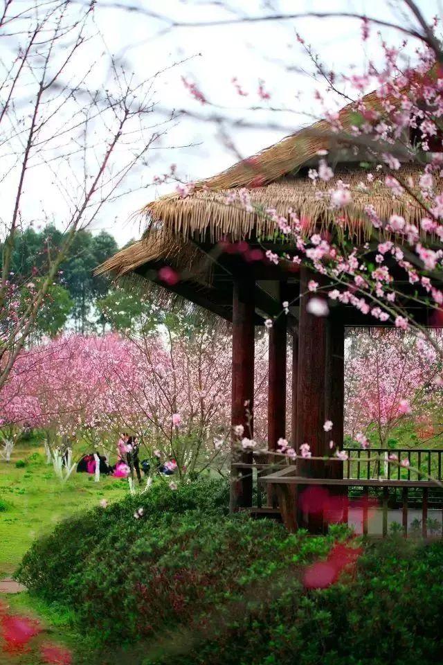 孤岛惊魂5